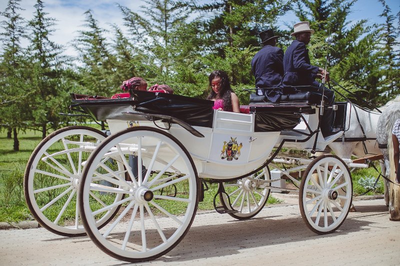 Tafaria Landau Type Horse Carriage