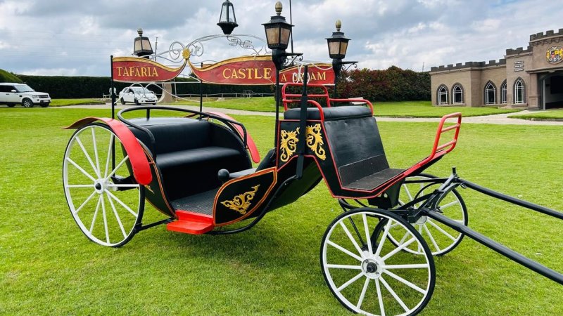 Horse Carriage