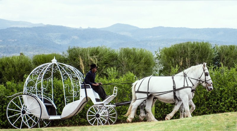 Fairy Tale Horse Riding